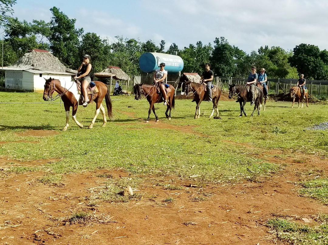 Vinales Valley Heart-维纳勒斯必去景点
