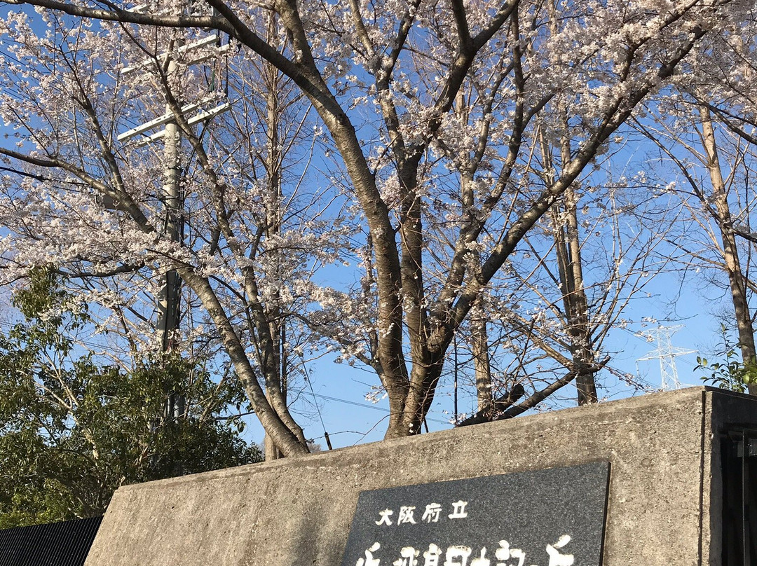 Chikatsu Asuka Fudoki Hill-河南町必去景点