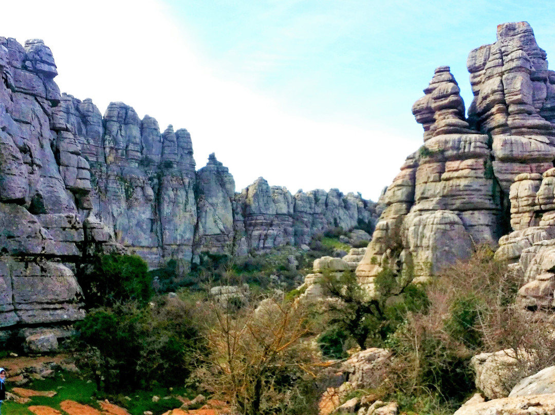 Tours in Malaga-马拉加必去景点