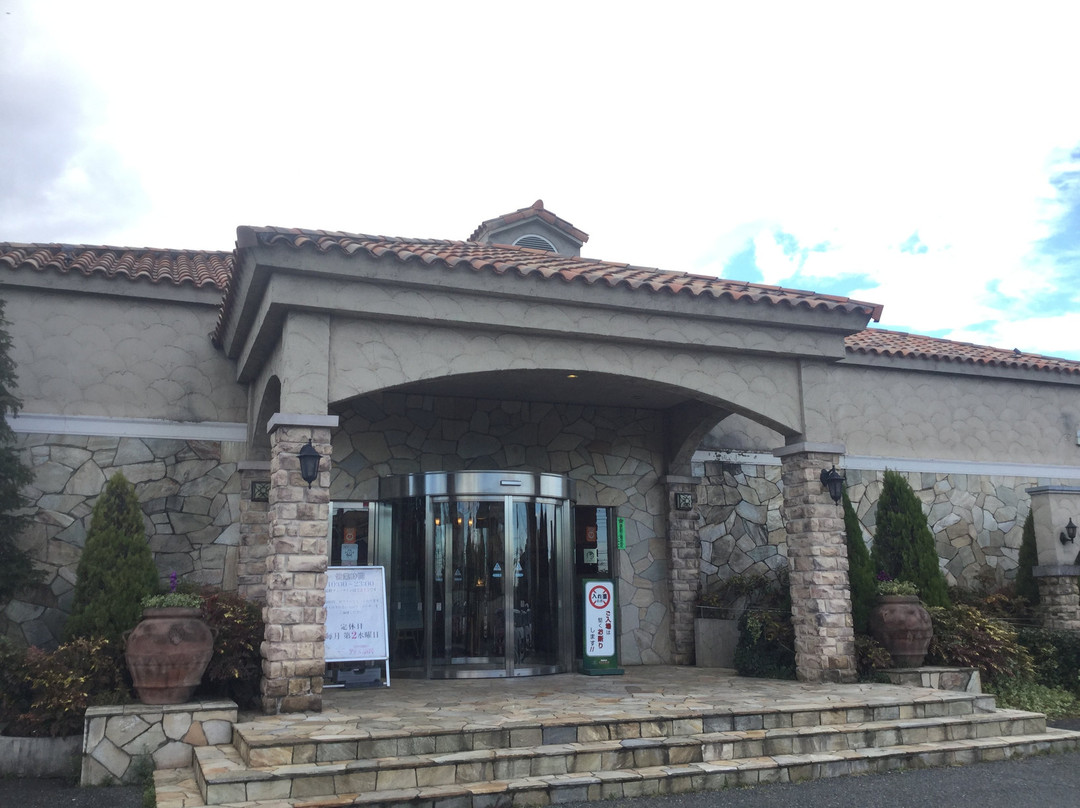 Kodaira Onsen Terme Ogawa-小平市必去景点