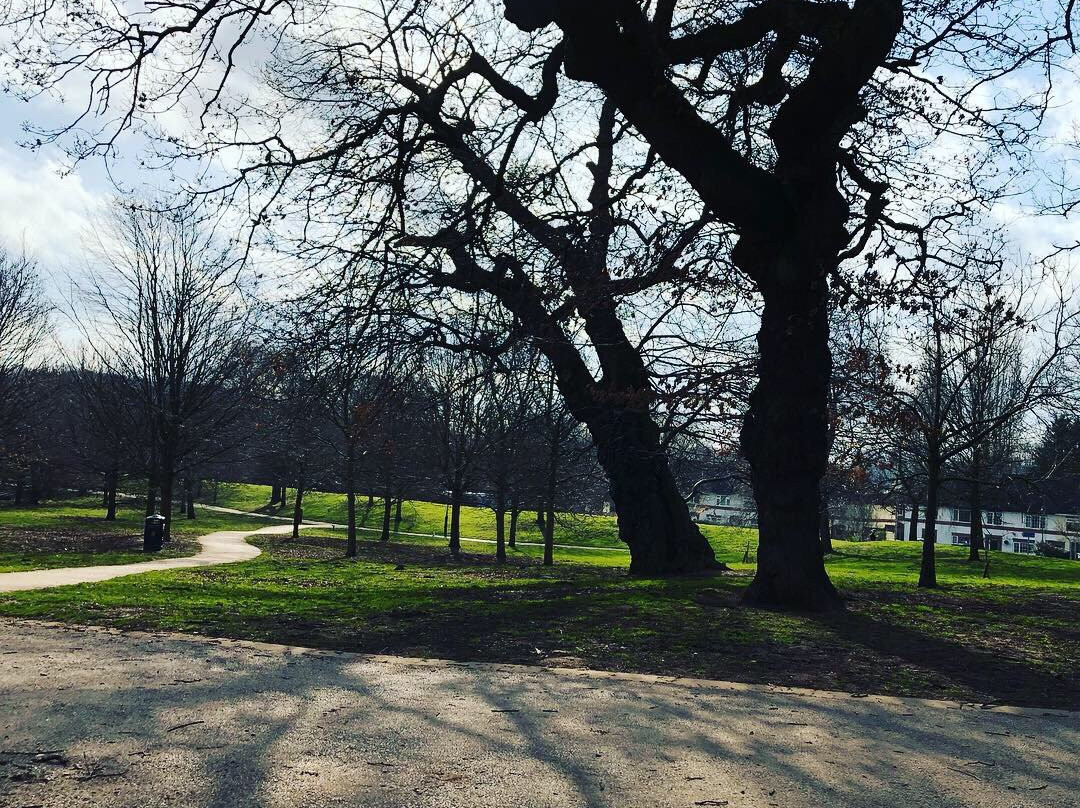 Bramcote Hills Park-Bramcote必去景点