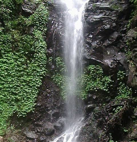 Dlundung Waterfalls景点图片