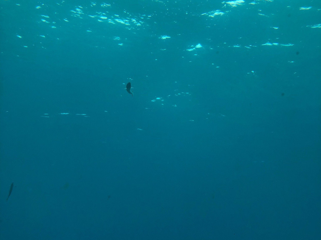 Miyakojima Marine Park景点图片