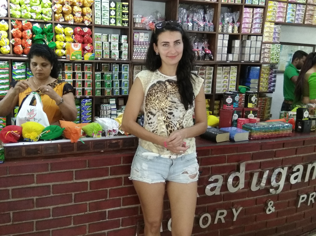 Spa Ceylon Ayurveda Kani Lanka-卡卢特勒必去景点