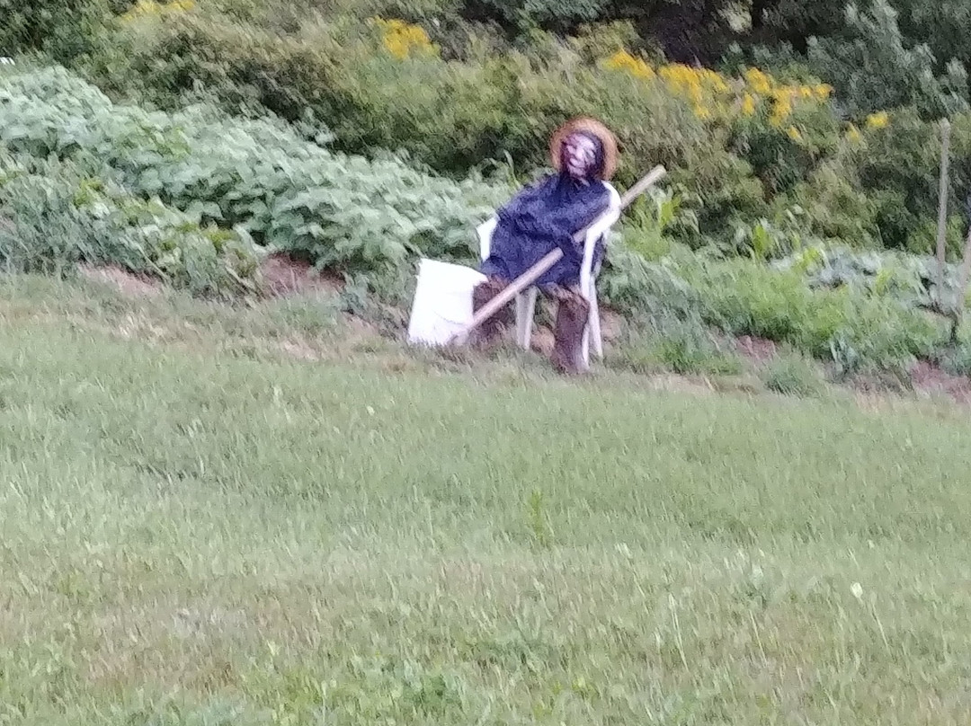 Cheticamp Outfitters Inn B & B主图