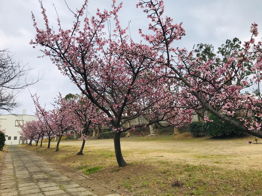Okitsu Inn-静冈市必去景点