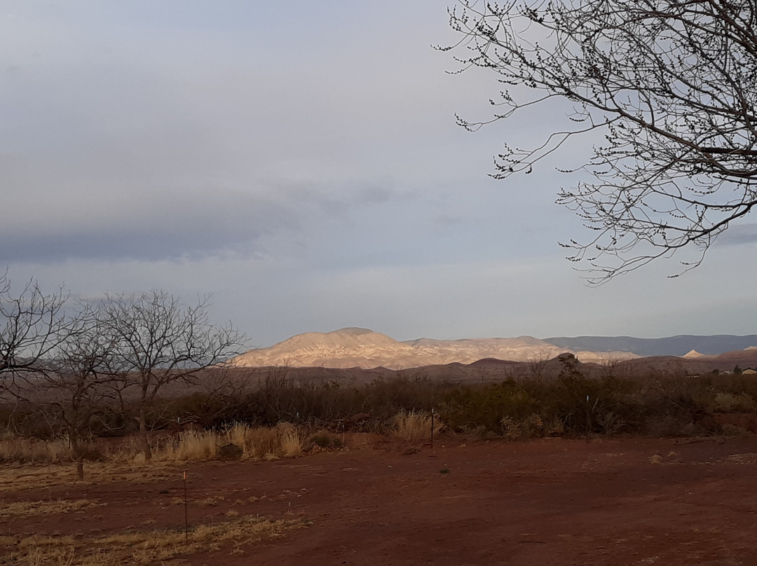 Tularosa Vineyards-Tularosa必去景点