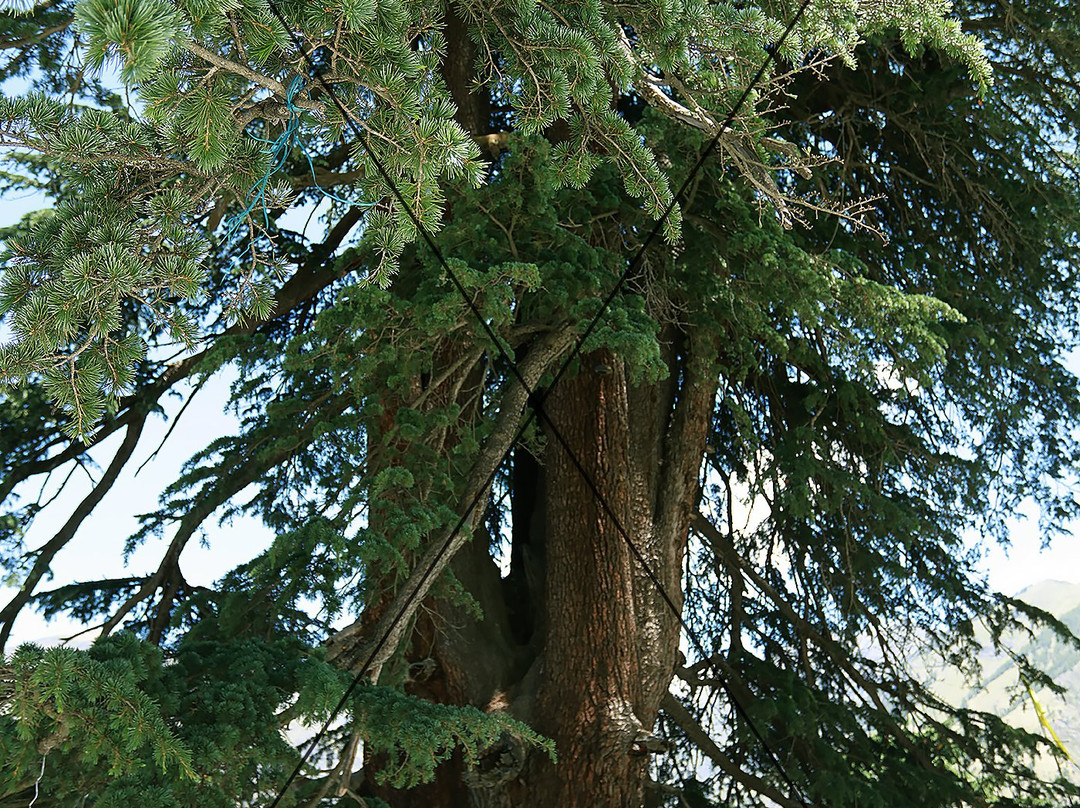 Chaurasi Temples Bharmour-Bharmour必去景点