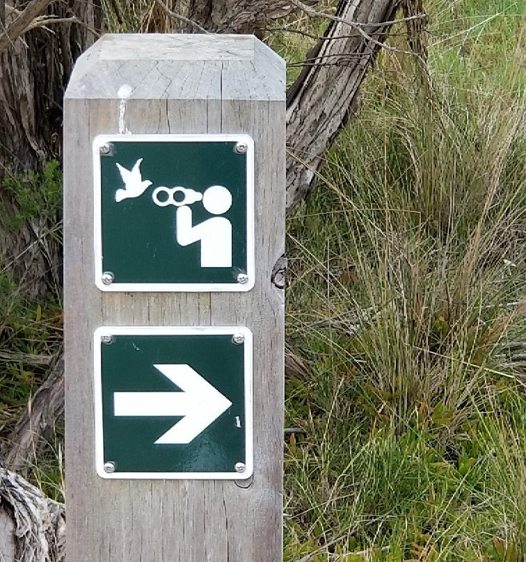 Toora Bird Hide-Toora必去景点