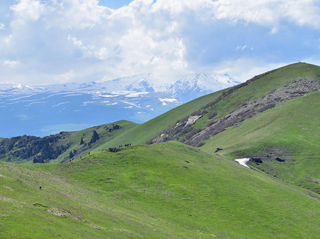 Mountain Ara景点图片