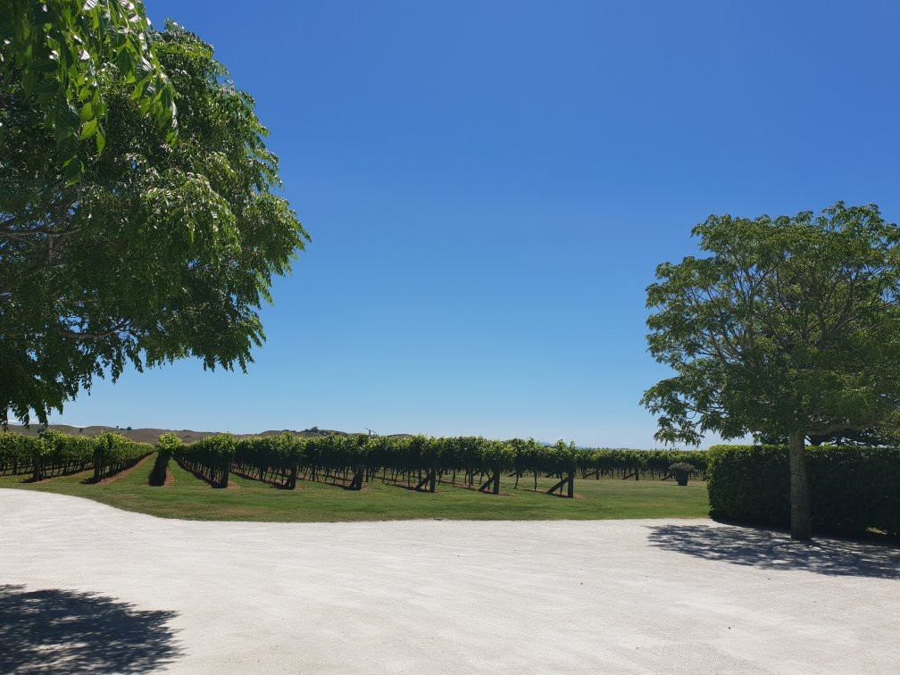 On Yer Bike Winery Tours-黑斯廷斯必去景点
