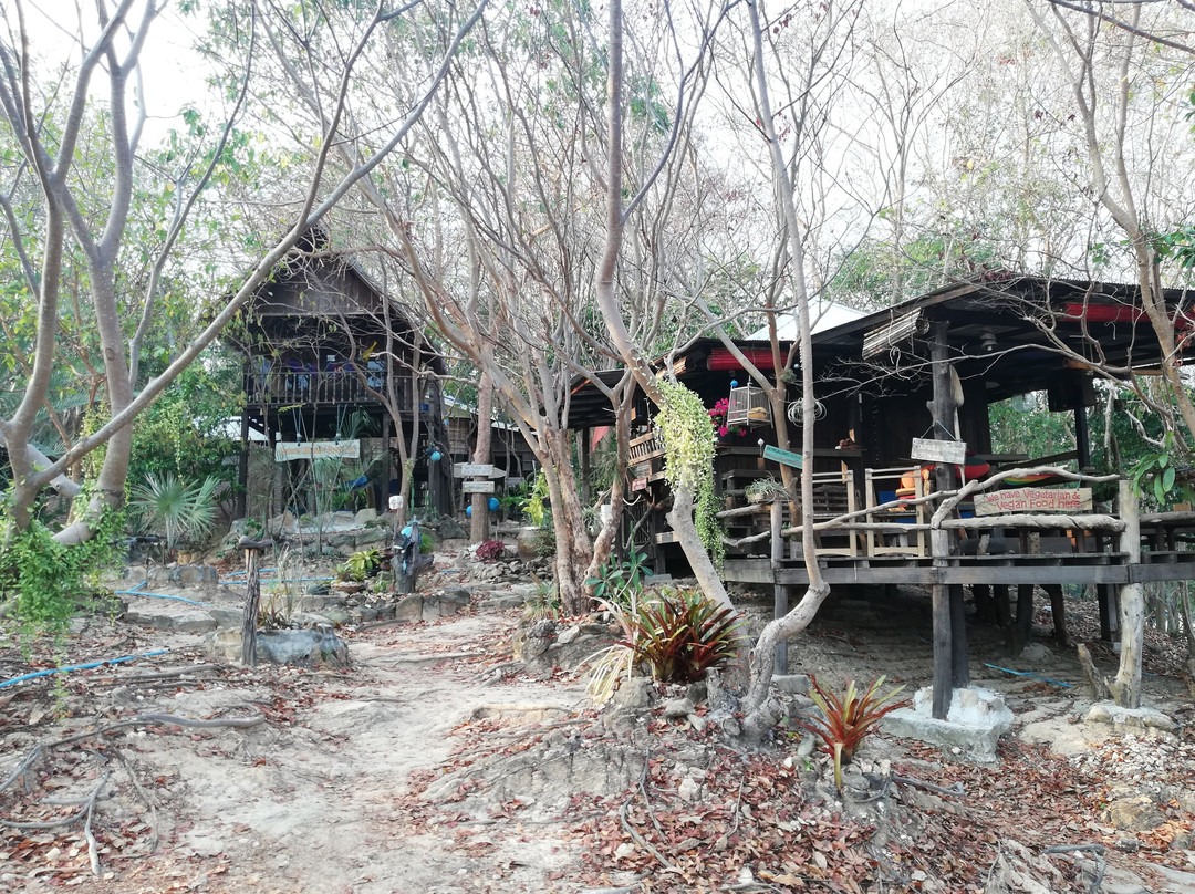 Noina's Mystic Mountain主图