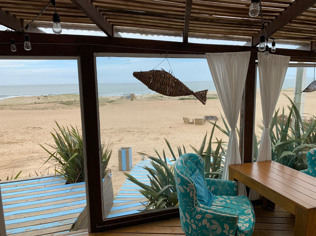 La Viuda del Diablo主图