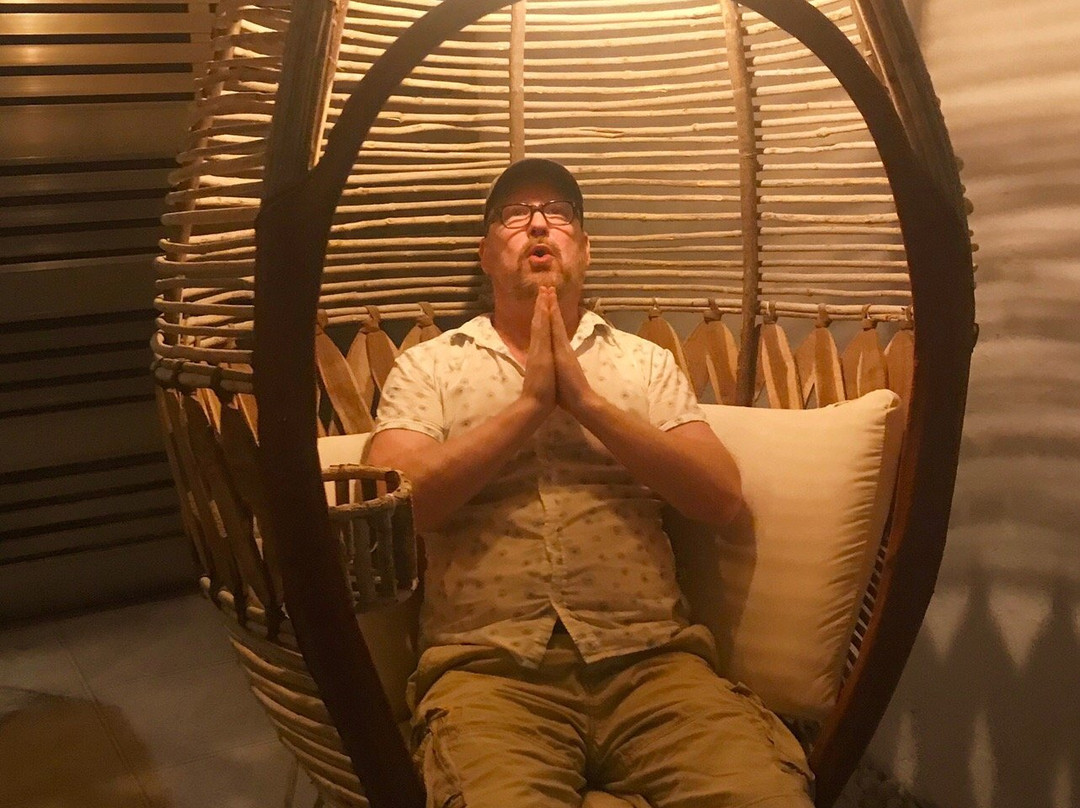 Bears En La Playa主图