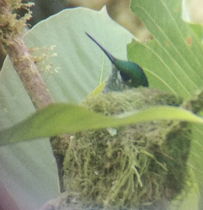 Costa Rica Wild Tours景点图片