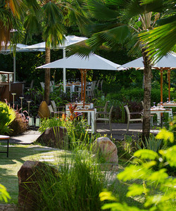 Curieuse Restaurant餐厅图片