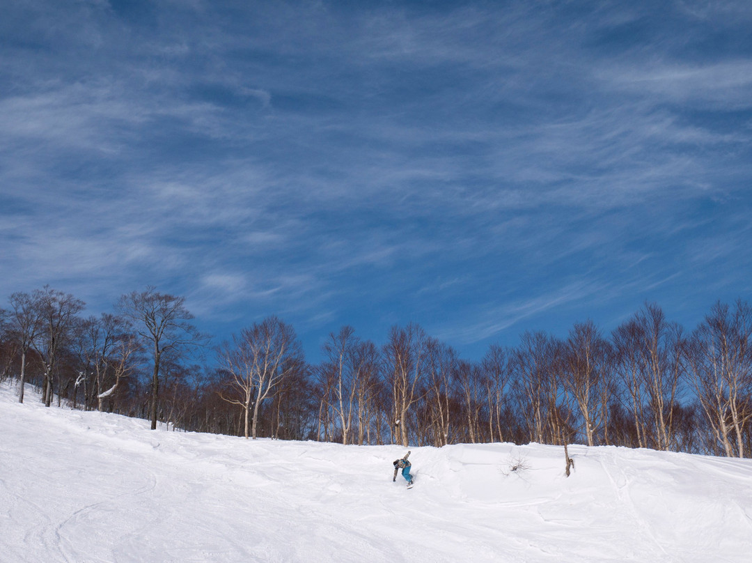 Kagura Ski Resort景点图片