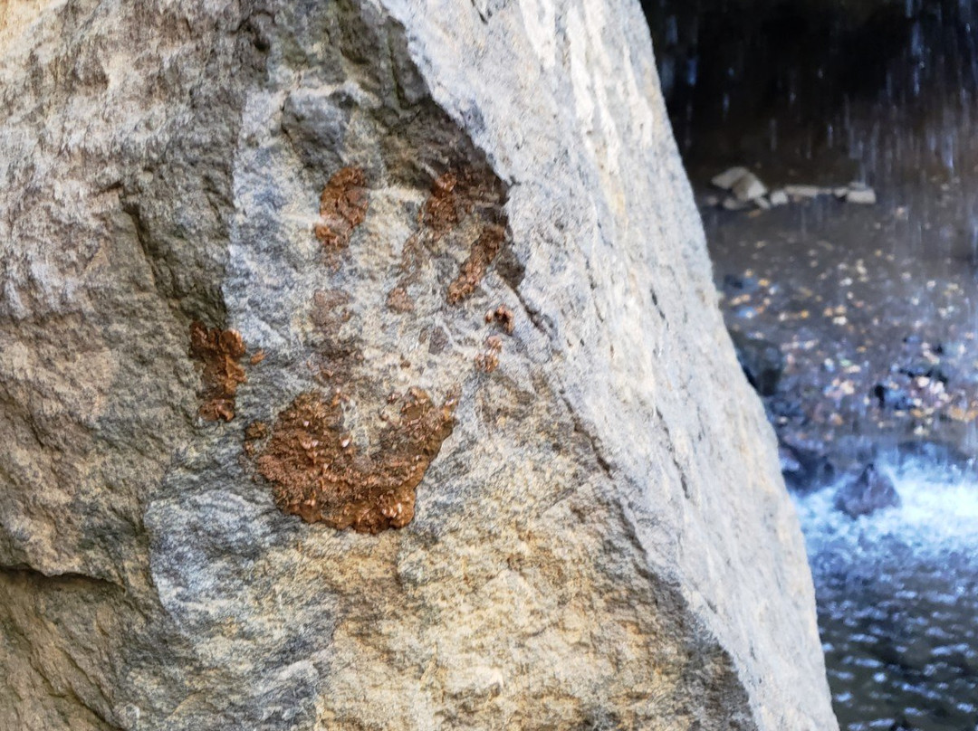 Hedge Creek Falls景点图片