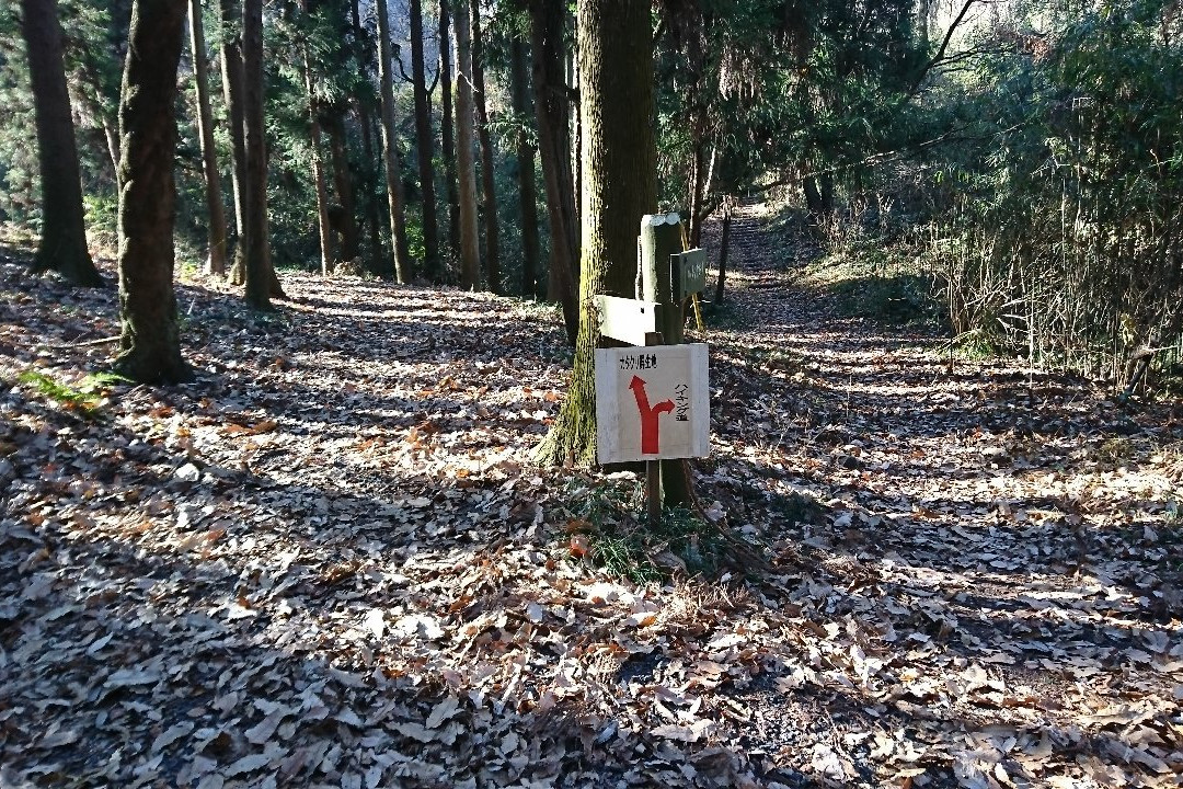 Manyo Nature Park Katakuri no Sato-佐野市必去景点