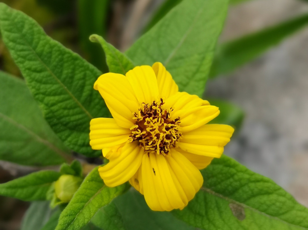 Pululahua Ecolodge主图