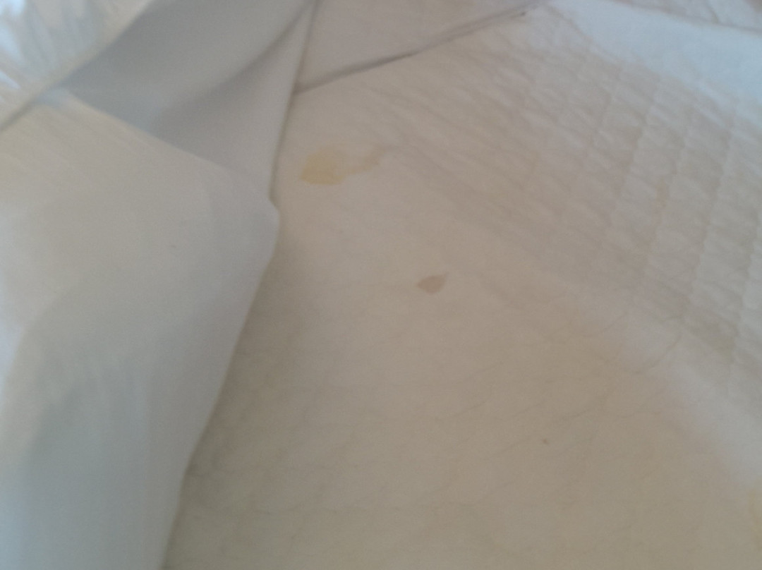 索奈科斯贵宾酒店主图