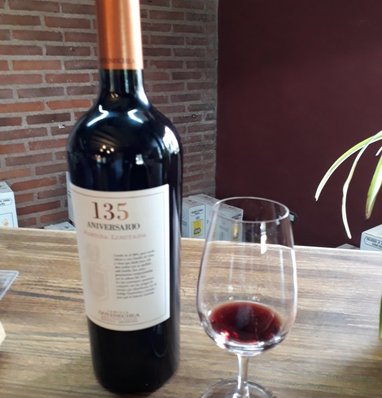 Bodega Goyenechea-圣拉斐尔必去景点