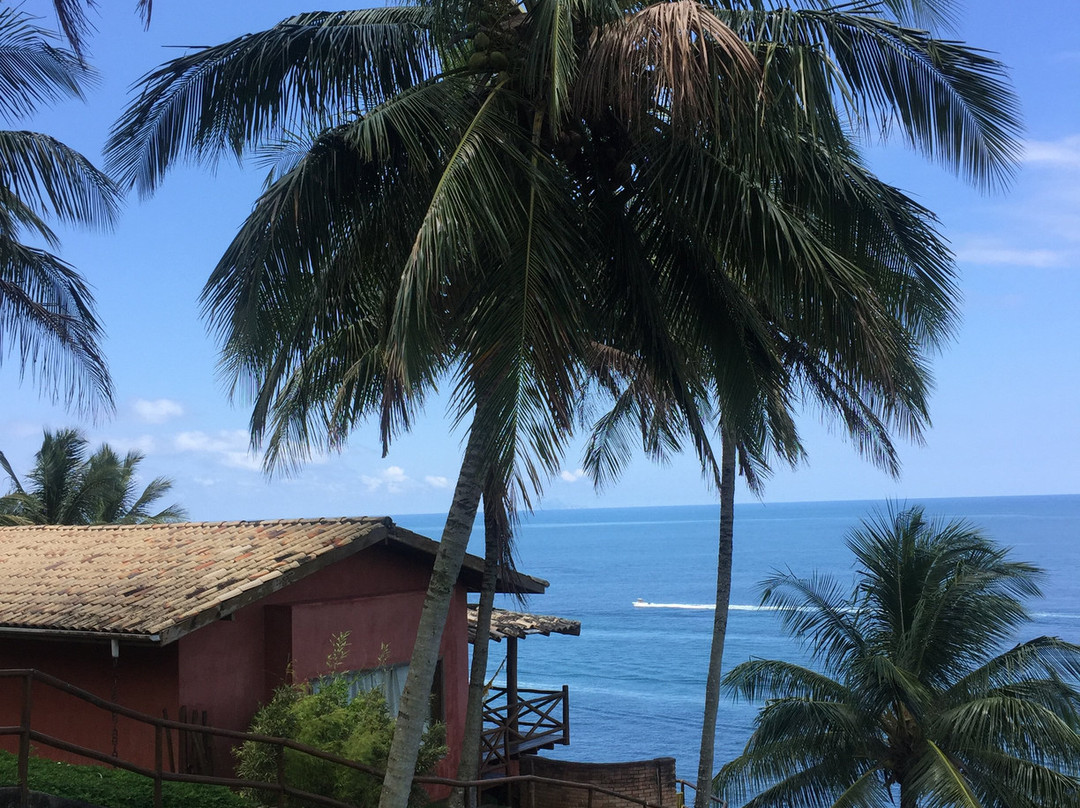 Solar Singuitta主图