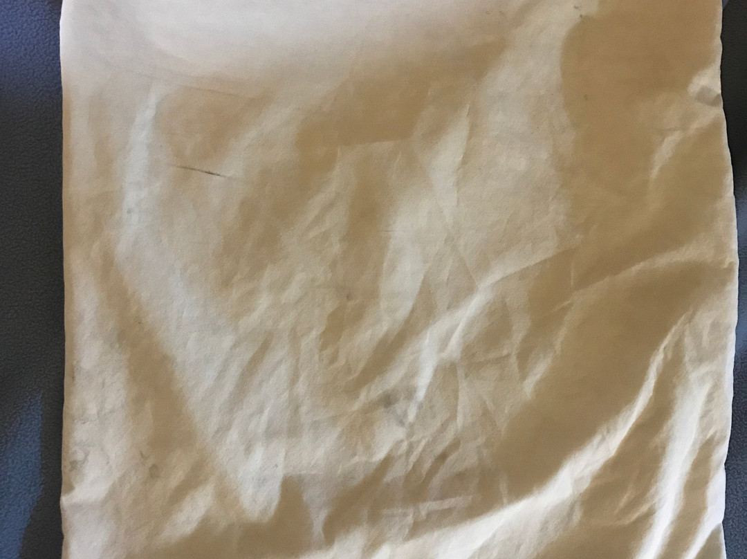 Super 8 by Wyndham Tyler TX主图