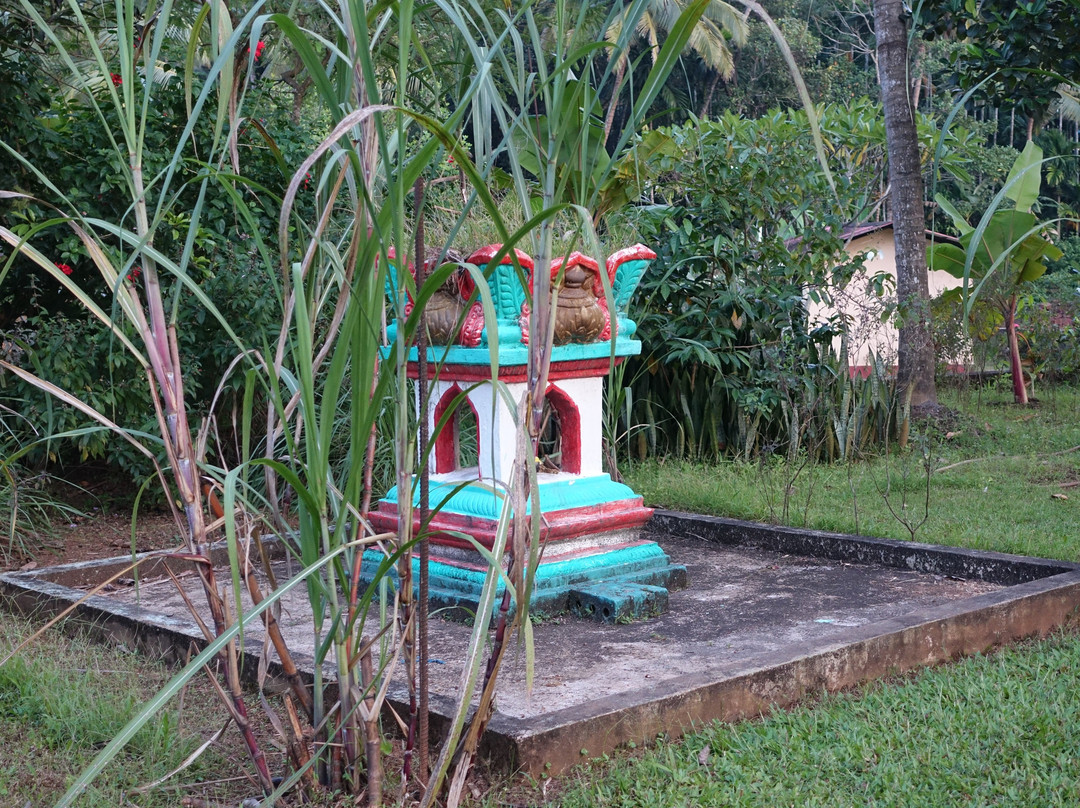 Sri Gomantak Tirupati Balaji Devasthan景点图片