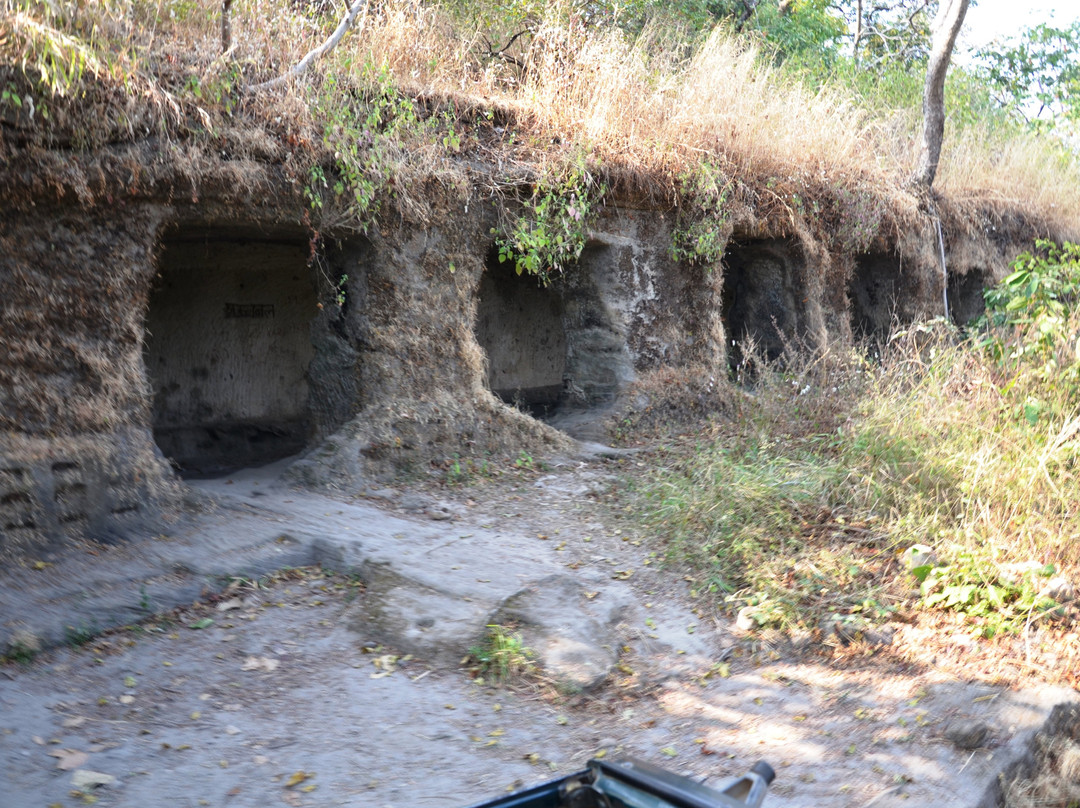 Bandhavgarh Ancient Caves景点图片