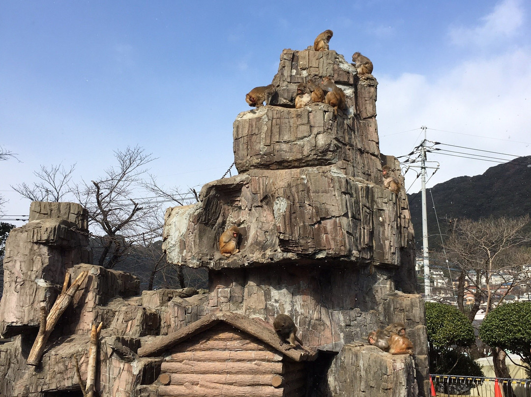 Tokuyama Zoo-周南市必去景点
