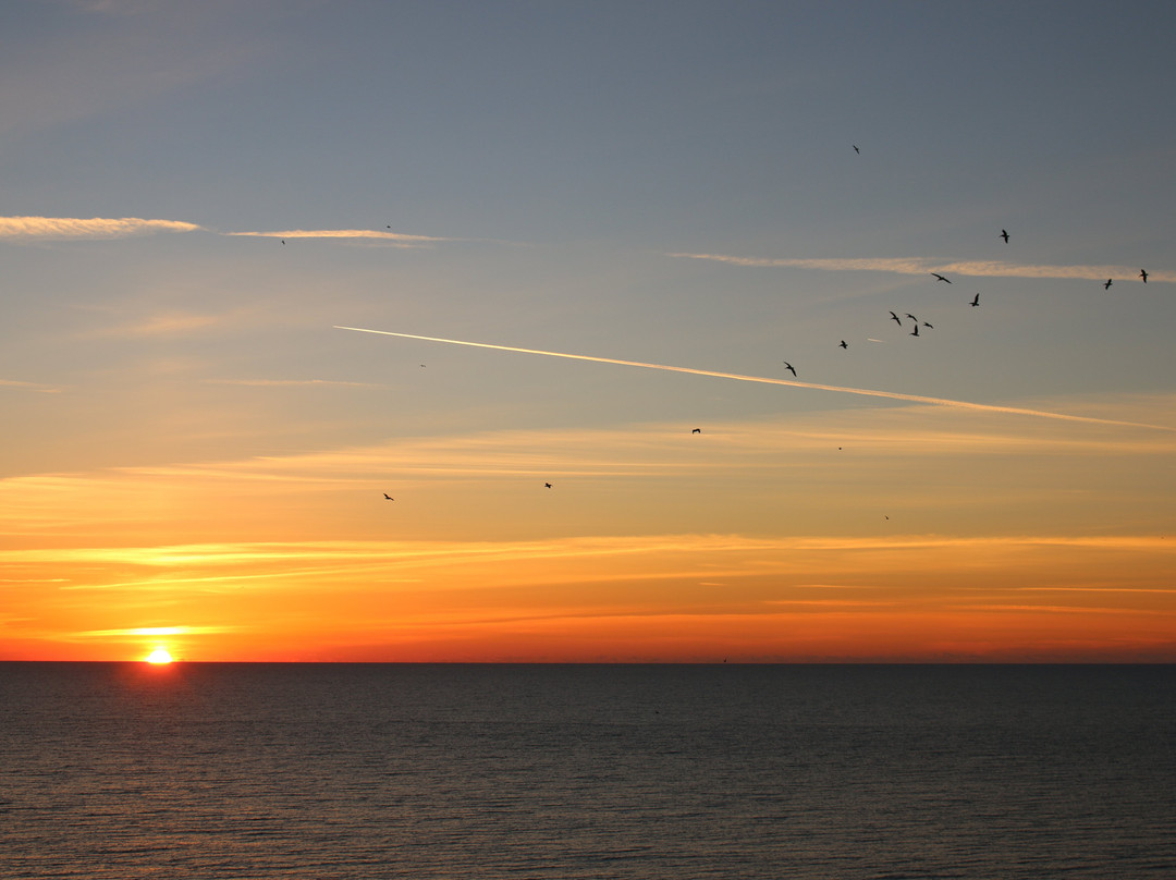 Seaside Resort主图