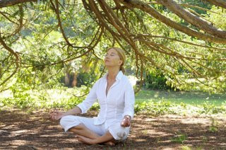 Dharma Casa Holistica主图