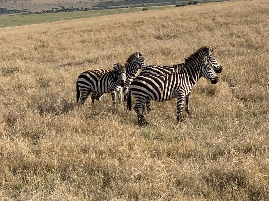 Safariman Expeditions景点图片
