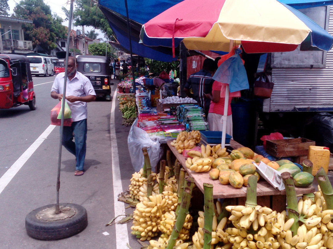 White Bridge House and Resort主图