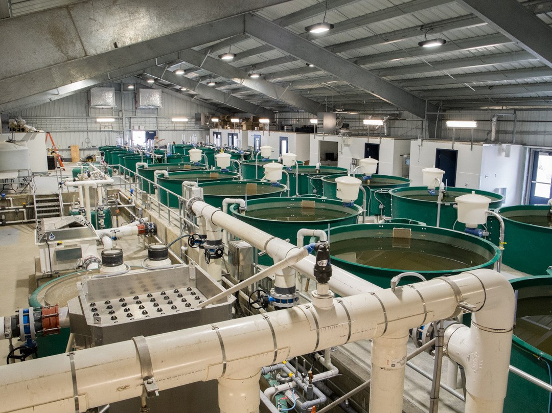 Nechako White Sturgeon Conservation Centre景点图片