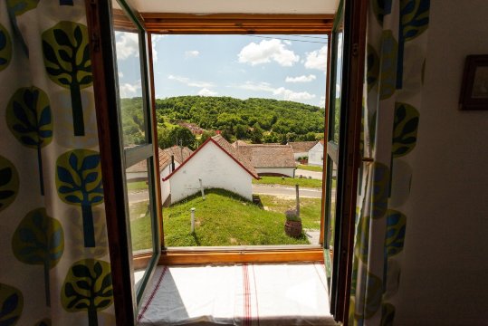 Borvirag Vendeghaz-官方