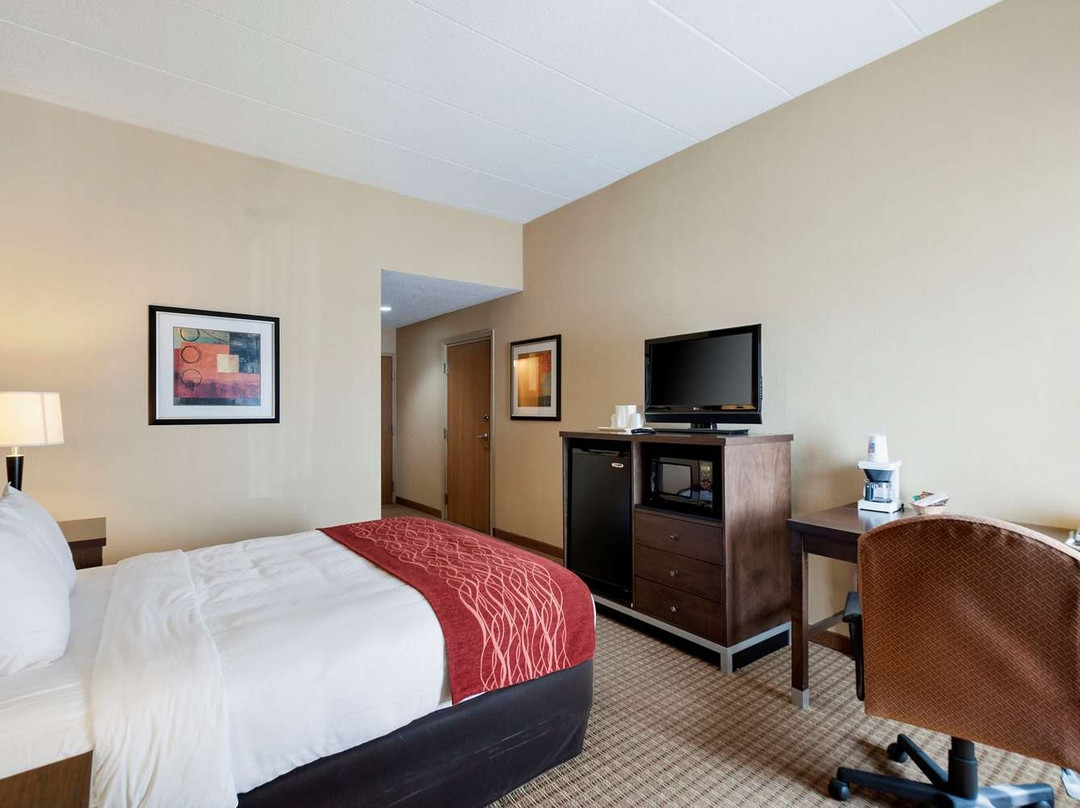 Quality Inn & Suites Bel Air I-95 Exit 77A主图