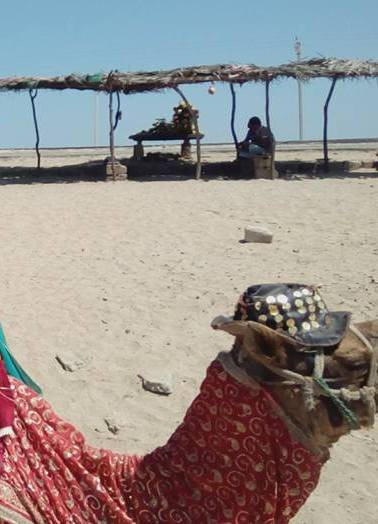 Madhavapur Beach-居那加德必去景点