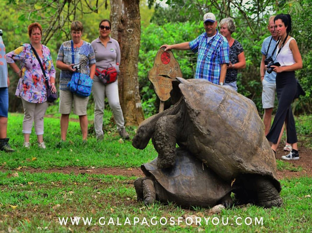 Galapagos For You景点图片