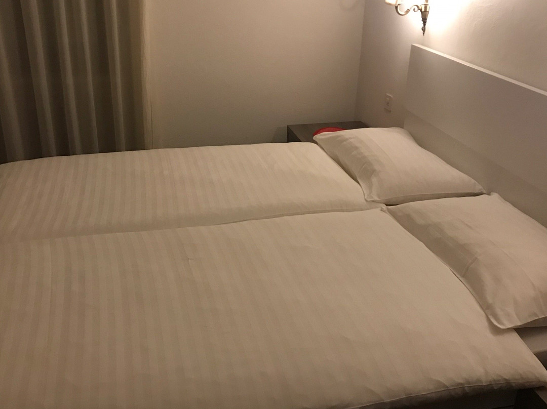 Hotel Svizzero主图