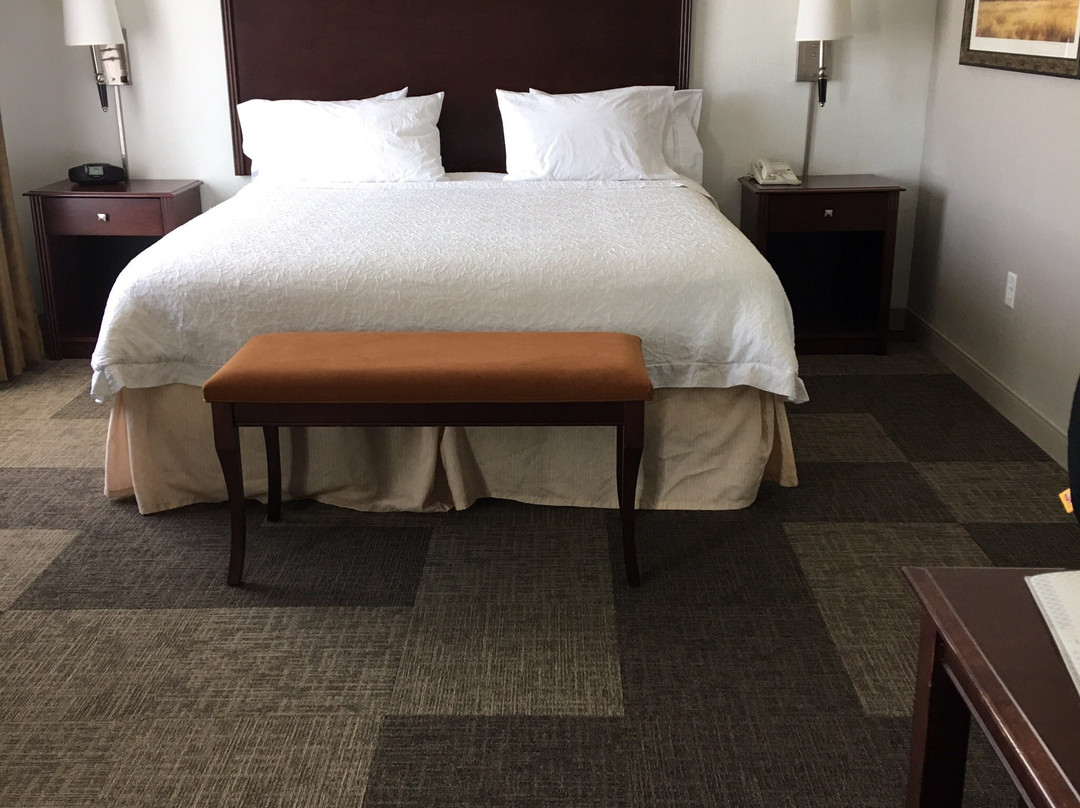 阿尔图斯希尔顿恒庭旅馆&套房酒店主图