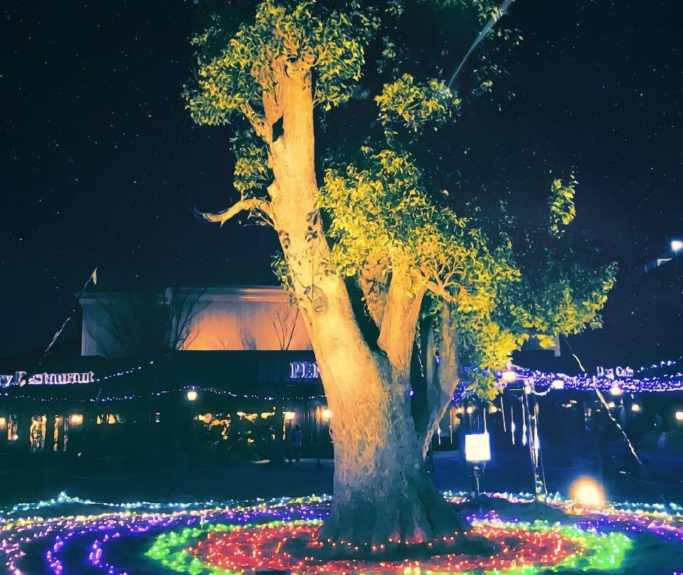 Aeon Mall Tsukuba-筑波市必去景点