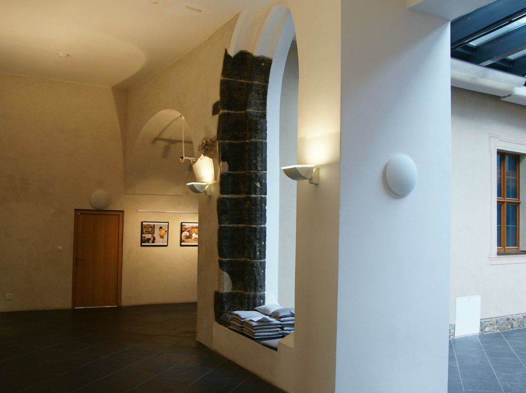 Arts House Opava景点图片