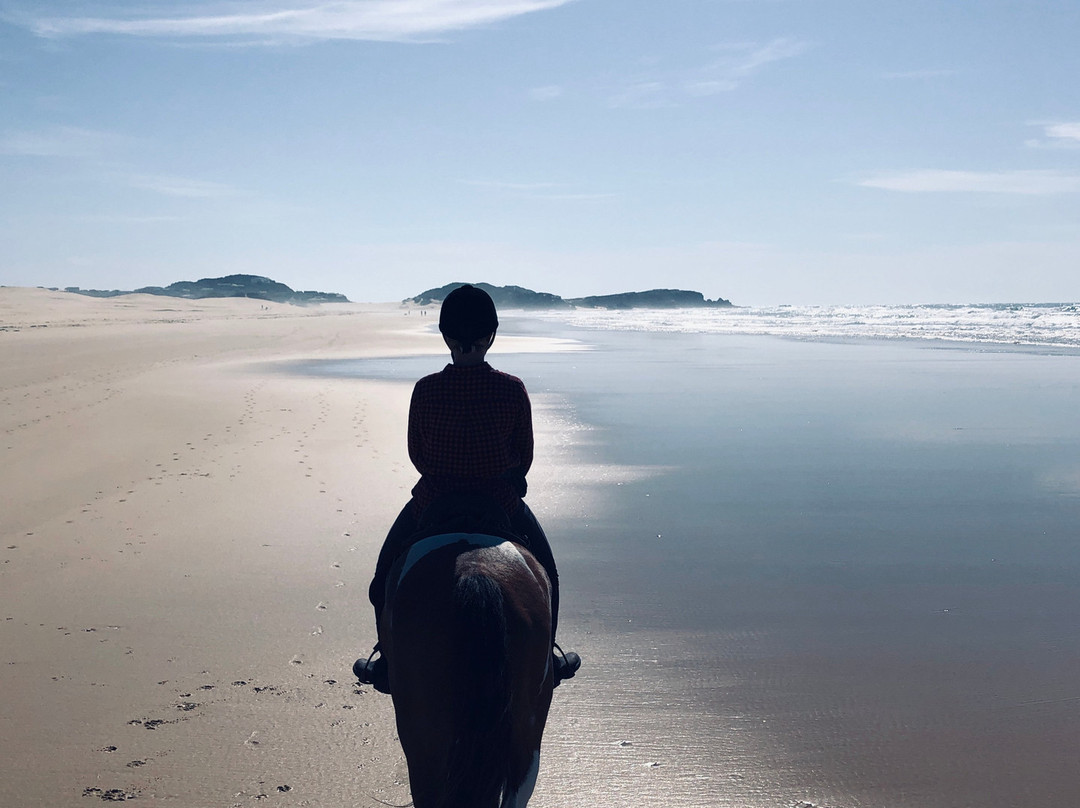 Beachcomber Horse Trails景点图片