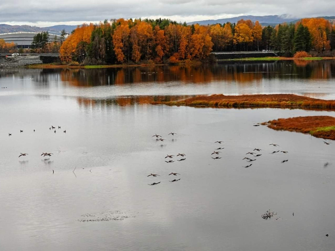 Aakersvika Nature Reserve-哈马尔必去景点
