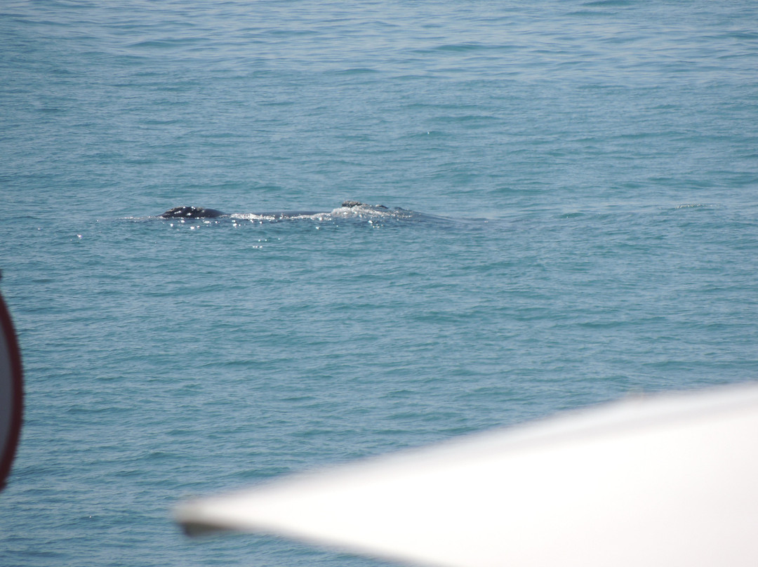 港湾之家酒店主图