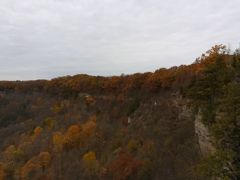 Devil's Punchbowl Conservation Area景点图片