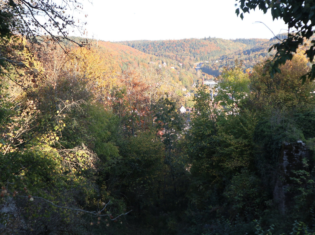 Burgruine Hohennagold景点图片