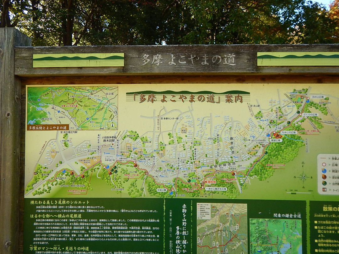 Ipponsugi Park-多摩市必去景点